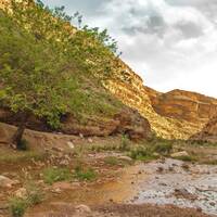 دهستان ییلاقی«جاسب»